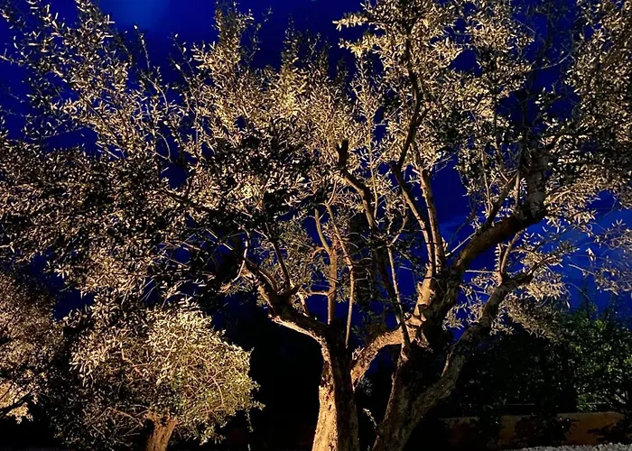 Lio Mit Pool Villa *